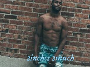 2inches_2much