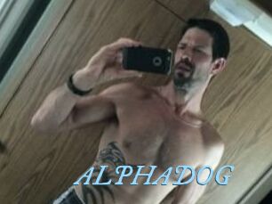 ALPHADOG