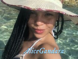 AliceGandara