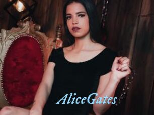 AliceGates