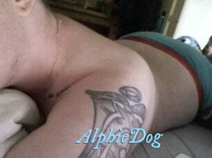 Alphie_Dog