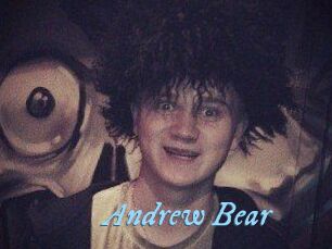Andrew_Bear