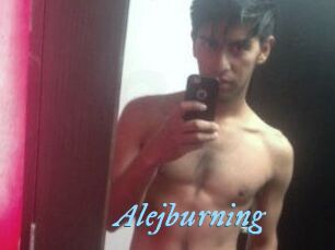 Alejburning