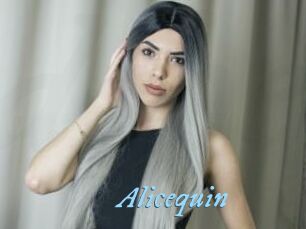 Alicequin