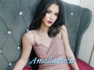 Ameliabricks