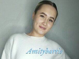 Amitybarris