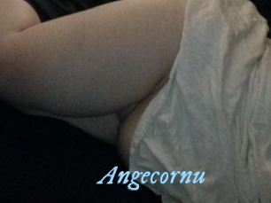 Angecornu