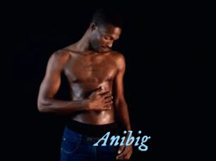 Anibig