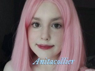 Anitacollier