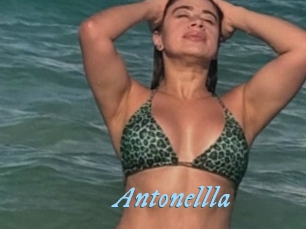 Antonellla