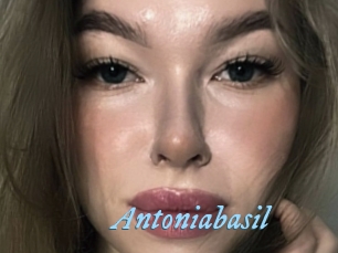 Antoniabasil