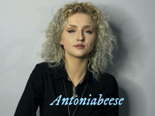 Antoniabeese