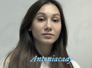 Antoniacady