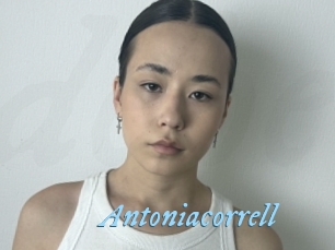 Antoniacorrell