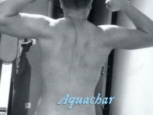 Aquachar