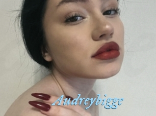 Audreybigge