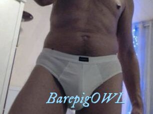 BarepigOWL