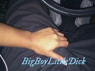 BigBoyLittleDick