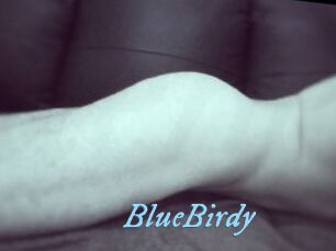 BlueBirdy