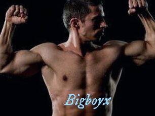 Bigboyx