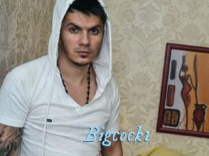 Bigcock1