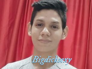 Bigdicksexy