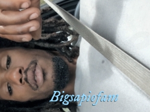 Bigsapiofam