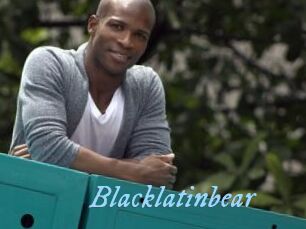 Blacklatinbear