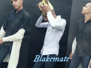 Blakemate