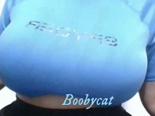 Boobycat