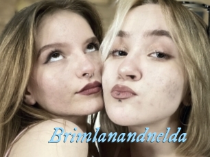 Brimlanandnelda