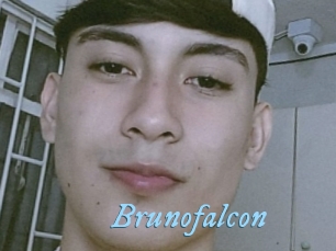 Brunofalcon