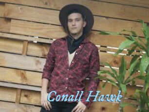 Conall_Hawk