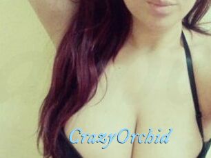 CrazyOrchid