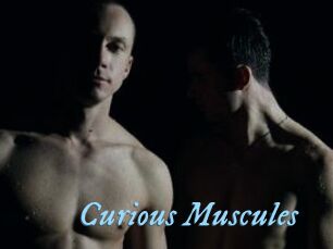 Curious_Muscules