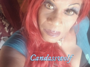 Candasswolf