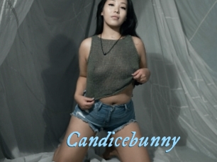 Candicebunny