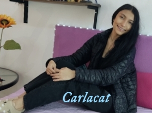 Carlacat