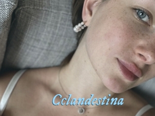 Cclandestina