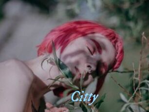 Citty