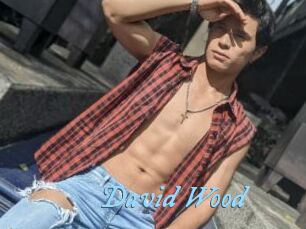 David_Wood