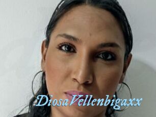 DiosaVellenbigaxx