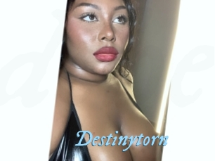 Destinytorn