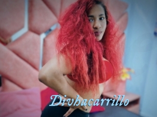 Divhacarrillo