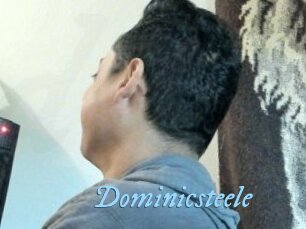 Dominicsteele