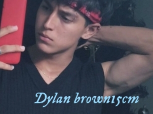 Dylan_brown15cm