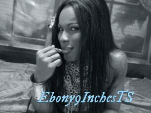 Ebony9InchesTS