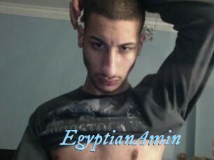 EgyptianAmin