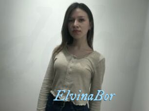 ElvinaBor