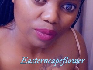 Easterncapeflower